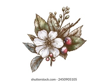 Boutonniere of wild rose flowers and berries Clip art, set of elements for design Graphic drawing, engraving style. Vector illustration. In botanical style