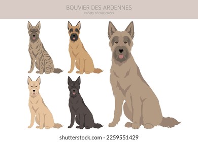 Bouvier des Ardennes clipart. Different coat colors and poses set.  Vector illustration