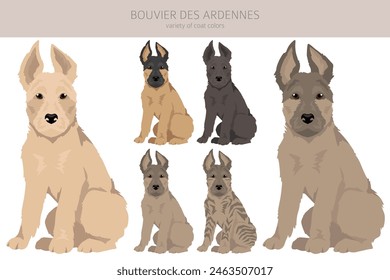 Bouvier des Ardennes Welpen Clipart. Verschiedene Fellfarben und Posen gesetzt.  Vektorillustration