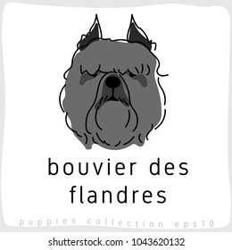 Bouvier des Flandres : Dog Breed Collection : Vector Illustration