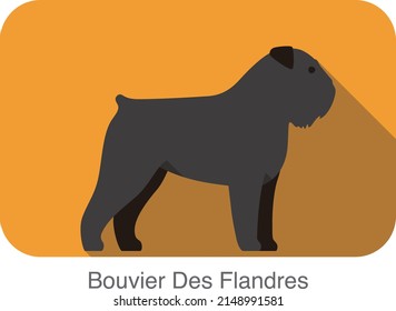 Diseño de icono plano de raza de perro Bouvier Des Flandres