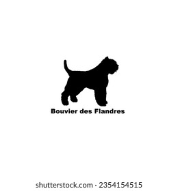 Bouvier des Flandres carne de perro silueta de perro raza animal