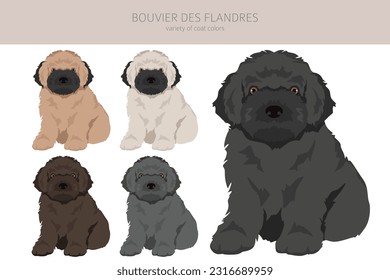 Bouvier des Flandres Welpen Clipkunst. Unterschiedliche Farben und Posen.  Vektorgrafik