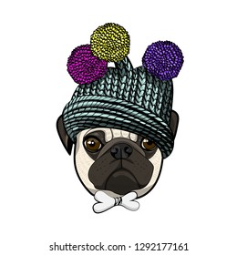 bow. Hand drawn illustration of dressed pug.