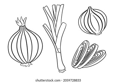 Bow set. Fresh green onions and onions whole and cut. In line style. Vector illustration for design and decoration.