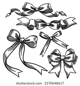 Bow sketch drawing. Collection of decorative holiday ribbons for birthday, wedding or celebration.