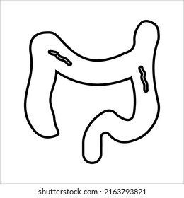 Bowel, colon, proctology line icon. Outline vector.