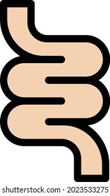 bowel vector line colour icon