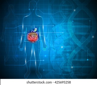 Bowels and stomach abstract scientific background