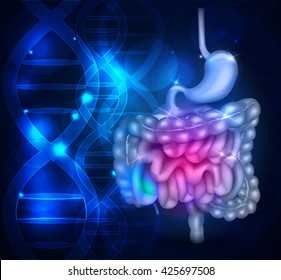 Bowels and stomach abstract scientific background with DNA chain