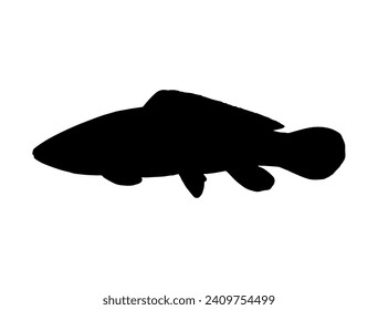 Bowfin Fish silhouette vector art white background