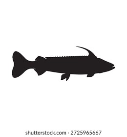 Silueta de pez Bowfin Arte vectorial fondo blanco