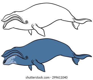bowhead or greenland whale  - hand drawn vector illustration