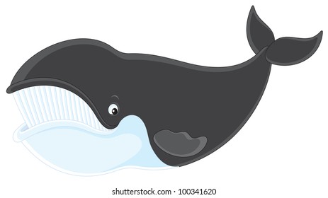 Bowhead whale