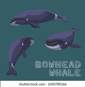 Bowhead Whale Cartoon Vector Illustration