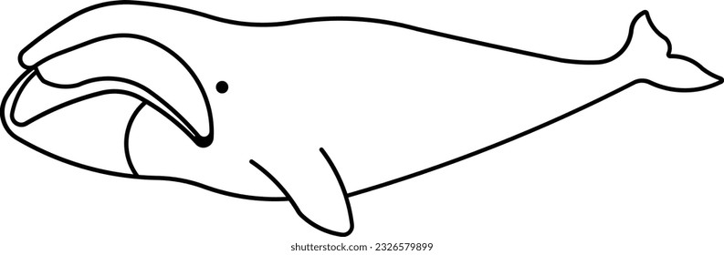 Bowhead whale whale fish mammal ocean Outline