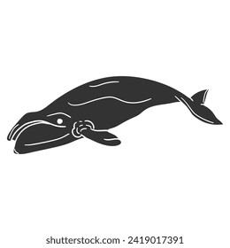 Icono de ballena Bowhead Ilustración de silueta. Símbolo gráfico del pictograma del vector mamífero marino Imágenes prediseñadas. Dibujo del doodle Signo negro.