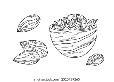 bowl with almond nuts in and around wooden bowl, line art style nuts on white background