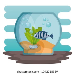 bowl aquarium with fish