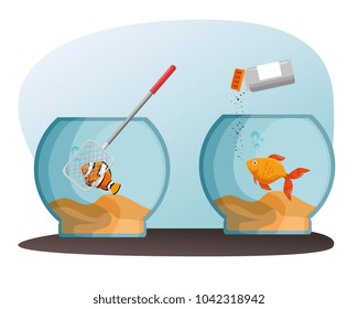 bowl aquarium with fish