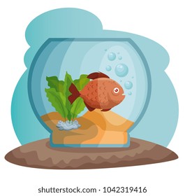 bowl aquarium with fish
