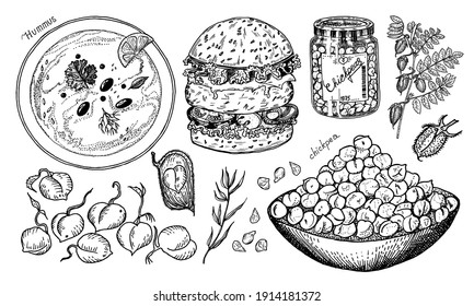 Bowl of chickpeas, burger with vegetables, traditional hummus, bean fruit, pea sprouts, glass jar and plant. Vintage vector illustration 