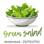 Bowl of fresh, green salad vector icon isolated on white background, variety of lettuce and leafy greens. Cartoon design of natural beauty and health benefits of vegetables