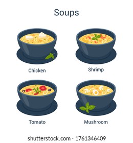 Bowl with hot tasty soup set. Collection of soup and ingredients. Tomato and potato, onion and carrot. Vector flat illustration