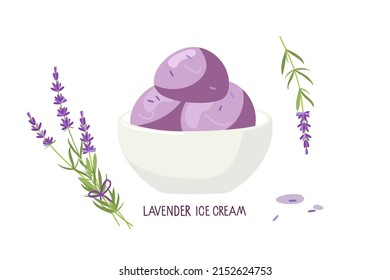 Bowl with lavender ice cream and fresh lavender flowers. Home made lavender ice cream. Food vector isolated on white background. Culinary course poster concept, culinary school