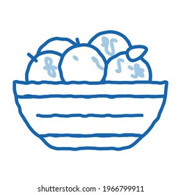 bowl of oranges sketch icon vector. Hand drawn blue doodle line art bowl of oranges sign. isolated symbol illustration