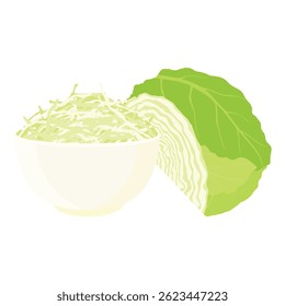 Bowl with shredded green cabbage and half cabbage isolated on white background. Vector illustration