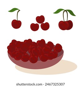 Bowl Sweet cherry set icon vector illustration design