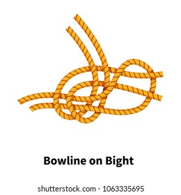 Bowline on Bight sea knot. Bright colorful how-to guide isolated on white
