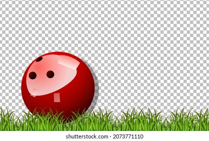 Bowling ball and grass on transparent background illustration
