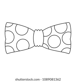 bowtie elegant male accessory