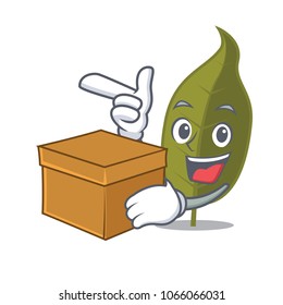 With box bay leaf character cartoon
