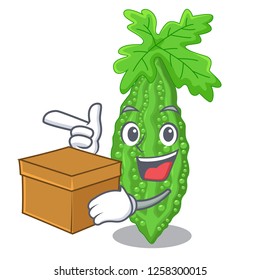 With box bitter melon gourd on shape cartoon