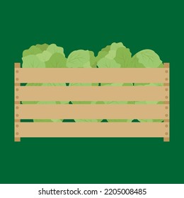Box with cabbage, illustration, vector, cartoon