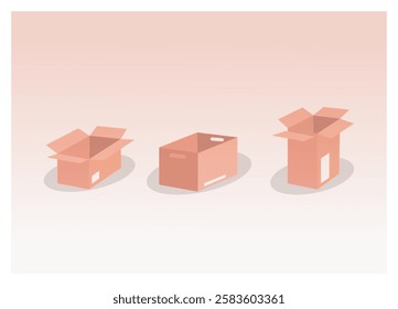 Box collection: a tape of opened cardboard box in the store 