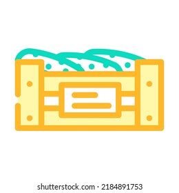 box of cucumbers color icon vector. box of cucumbers sign. isolated symbol illustration