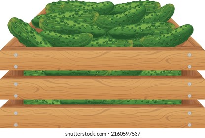 A box of cucumbers. Ripe cucumbers from the garden in a wooden box. Organic products. Farm products, vector illustration