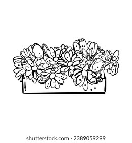Caja con flores de estilo doodle. Caja de madera con flores. Dibujo para postal, jardinería de amor, concepto de primavera