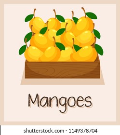 A box full of mangoes illustration