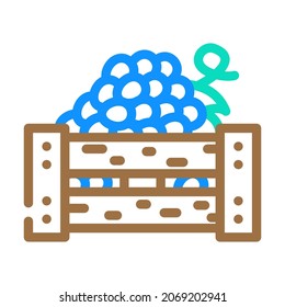 box of grapes color icon vector.  sign. isolated symbol illustration