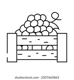 box of grapes line icon vector. box of grapes sign. isolated contour symbol black illustration