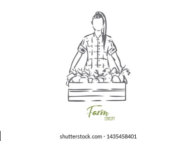 Box of harvest concept sketch. Isolated vector illustration
