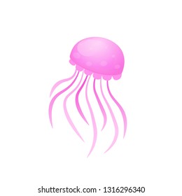 Box Jellyfish icon. Clipart image isolated on white background