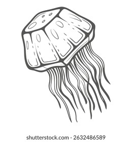 Box Jellyfish Illustration, Line Art Style