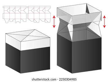 Box packaging die cut template design. 3d mock-up