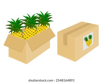 Box of pineapple on white background